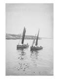 Bateau
