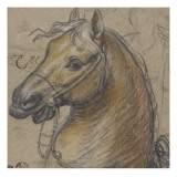 Tête de cheval