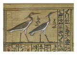 Livre des morts  papyrus de Nebqed