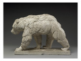 Ours brun