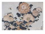 Chrysanthèmes et taon