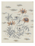 Chrysanthème