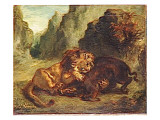 Lion et sanglier