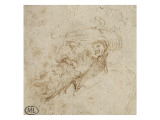 Homme barbu et au nez courbé