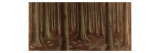Intérieur de forêt