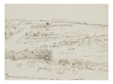 Paysage en Auvergne : une lande (1866)