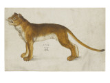 Lionne