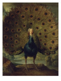 Louis Antoine de Gontaut  maréchal duc de Biron (1700-1788)