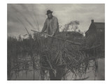 Marais dans le Norfolk : transport du foin en barque