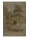 Paysage au feuillage