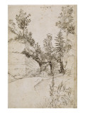 Paysage ; route bordée de rochers abrupts et d'arbres près de Nuremberg