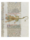Liber Floridus by Lambert of Saint-Omer: Crocodile