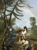 Paysage avec des ches