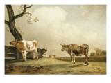 La prairie
