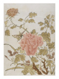 Pivoines et papillons