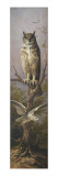 Hibou