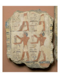 Peintures du mastaba de Metchetchi