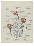 Chrysanthèmes