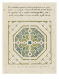 Modèle de parterre de jardin octogonal