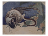 Faisan et serpent