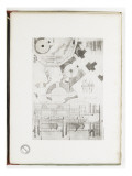 Monographie de la restauration du Château de Saint Germain en Laye