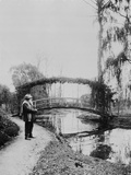 Monet devant le petit pont en automne à Giverny  vers 1922