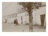 Album photographique : Vélodrome Course cycliste vers 1900