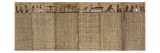 Papyrus du Livre des Morts de Tchahapiimou  supérieur des astronomes d'Amon
