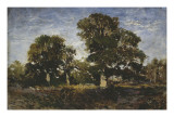 Les chênes