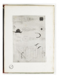Monographie de la restauration du Château de Saint Germain en Laye