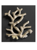 Plaque ajourée : branche de corail blanc et coquillages jaunes