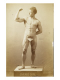 Sandow