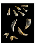 Planche de dents perforées