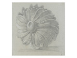 Modèle de récipient (vase ou jardinière) en forme de marguerite