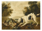 Chien d'arrêt et perdrix rouge