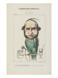 Rouher  le perroquet
