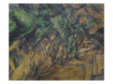 Rochers et branches à Bibémus Carrière de pierre aux environs d'Aix en Provence