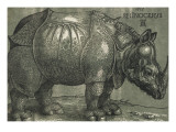 Le Rhinocéros