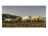 Labourage nivernais : le sombrage
