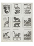 Planche d'animaux