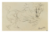 Etude de cheval