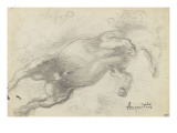 Etude de cheval da sotto in su