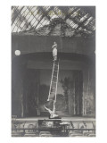 The 2 Morandini's (Equilibristes sur perche et échelle)