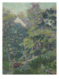 Soleil dans les arbres