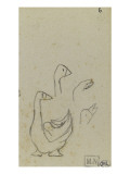 Croquis d'oie et trois études de la tête d'oie