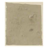 Etudes d'oies