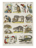 Les animaux du jardin des Plantes