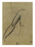 Croquis d'un bras droit  de face