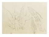 Etudes pour le sphinx deviné