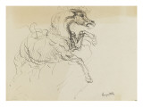 Etude de cheval